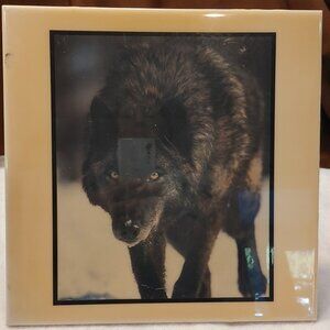 Vintage "Grey Wolf Stalking #626" By Artiles, A.R.T Co.